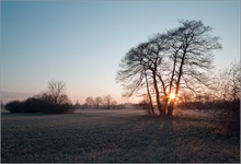 Morgenspaziergang in den Abensauen