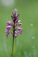 Auch bei viel Regen...