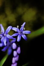 Grüße aus dem botanischen Garten