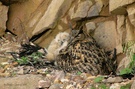 "Kuscheln mit Mama" ...