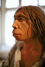 Die Neandertaler leben . . .