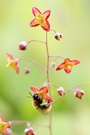 Fleißig!