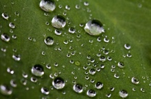 Das schöne an einem Regentag