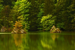 Das erste grün am Bergsee