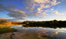 Weiher in der Abendsonne