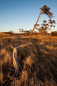 Einsam am Weststrand