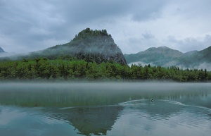 Abendstimmung am Almsee