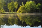 Ruhe am frühen Morgen am Weiher