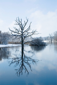 Moor bei Andechs - Bayern  II