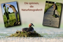 ~Die spinnen die Natufotografen~