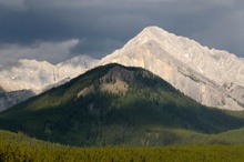 Landschaft am Bow-Valley-Parkway/ Banff N.P./ Canada