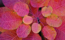 naturfarben