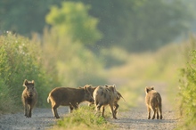 Kleiner Spaziergang