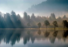 Morgens am Lac de Longemer