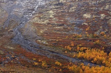 Jotunheimen