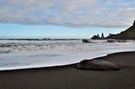 Schwarzer Strand und weiße Gischt