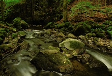 Wasser-Steine-Wald