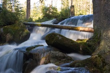 Wasserfälle am Dreisessel ND