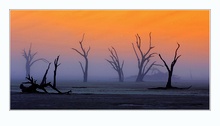 Deadvlei im Nebel ND