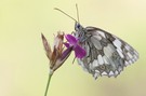 abflugbereit