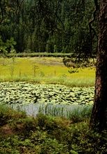 Huzenbacher See