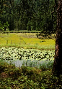 Huzenbacher See