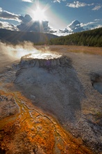 Punch Bowel Spring