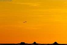 Oranger Himmel über den Halligen