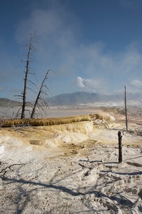 Die Mammoth Hot Springs...