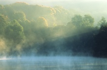 Teich im Morgennebel