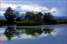 Abends beim See