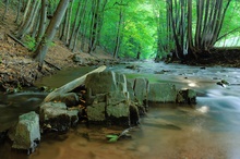 Lockwitzbach im Frühherbst