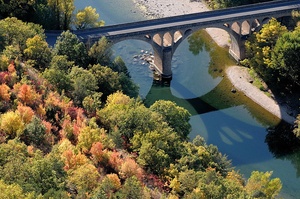 Herbst am Tarn