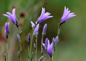 Steiles Blau...