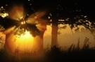 mystic morning