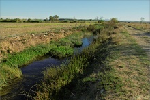 Canal de Vergières, Sept. 2010