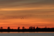 In den Bodden