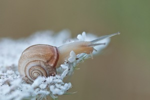 Huch, hier geht´s bergab