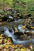 Teufelsschlucht III