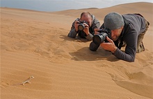 Begegnung im Sand