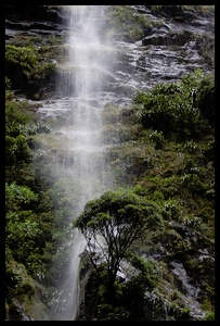 Milford Sound