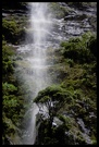 Milford Sound