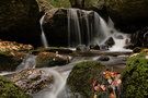 Herbst im Waldviertel