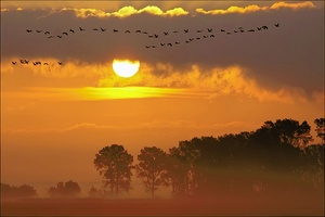 Sonnenaufgang am Bodden