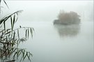 Inselchen im Nebel