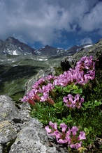 Aufstieg zur Gießener Hütte