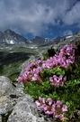 Aufstieg zur Gießener Hütte