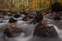 Herbstlicher Alfbach