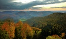 Abend über dem herbstlichen Wald