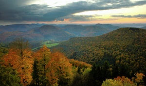 Abend über dem herbstlichen Wald